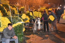 dich vu cho thue mai kieng dip tet nguyen dan hut khach