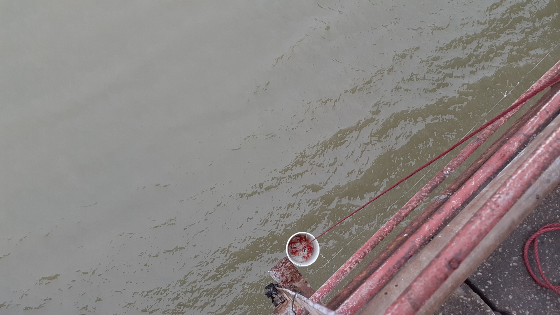 ha noi ngay tet tao quan co gi tai mot so diem tha ca chep