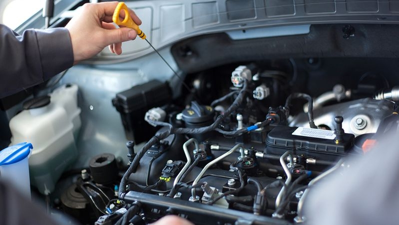 nhung luu y khi du xuan quy mo gia dinh trong dip tet