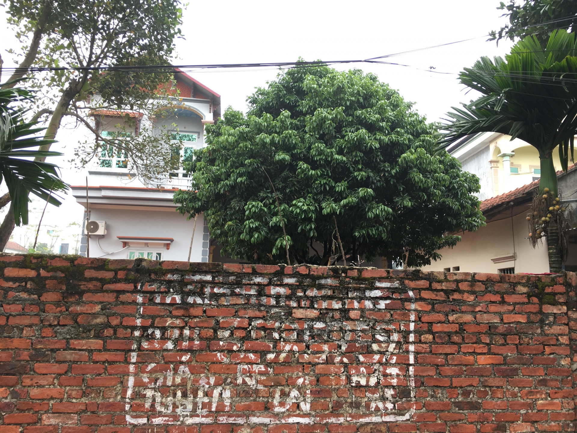 can canh noi sinh song cua nu cong nhan nhiem virus corona o vinh phuc