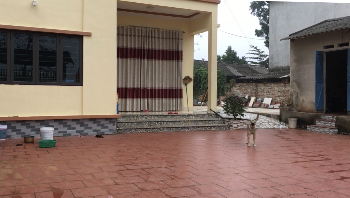 can canh noi sinh song cua nu cong nhan nhiem virus corona o vinh phuc