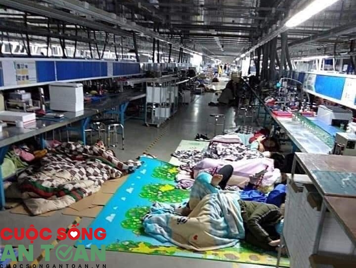 Nữ công nhân F1 “như được sống lại” khi đến khu cách ly Nữ công nhân F1 “như được sống lại” khi đến khu cách ly