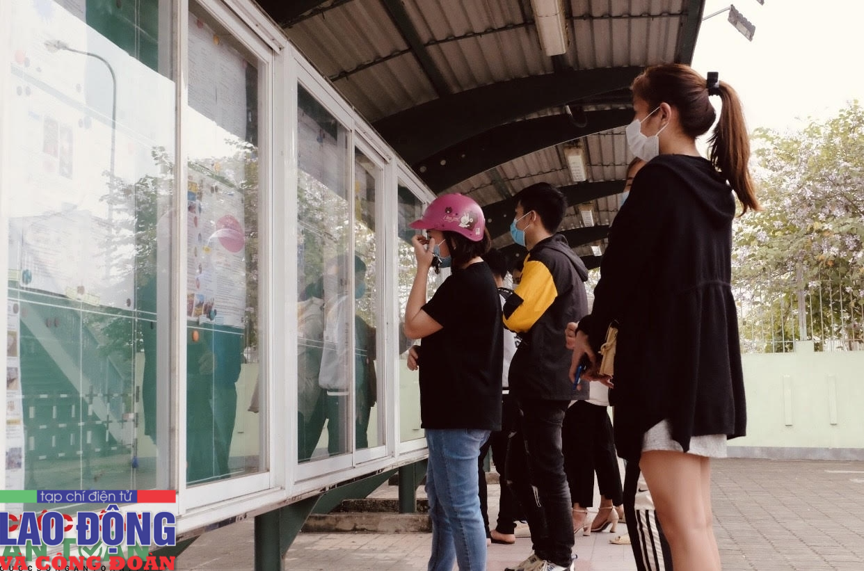 “Nhu cầu tuyển lao động có tay nghề cao hơn các năm trước” “Nhu cầu tuyển lao động có tay nghề cao hơn các năm trước”