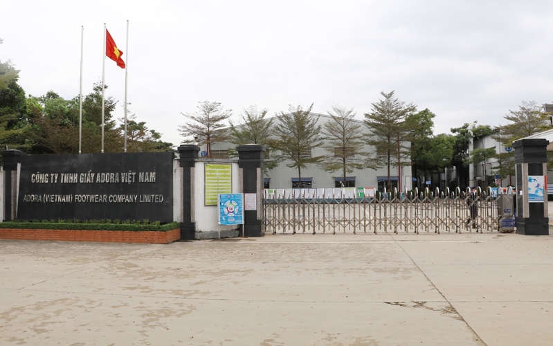 Công nhân Công ty TNHH Giày Adora Việt Nam đã trở lại làm việc