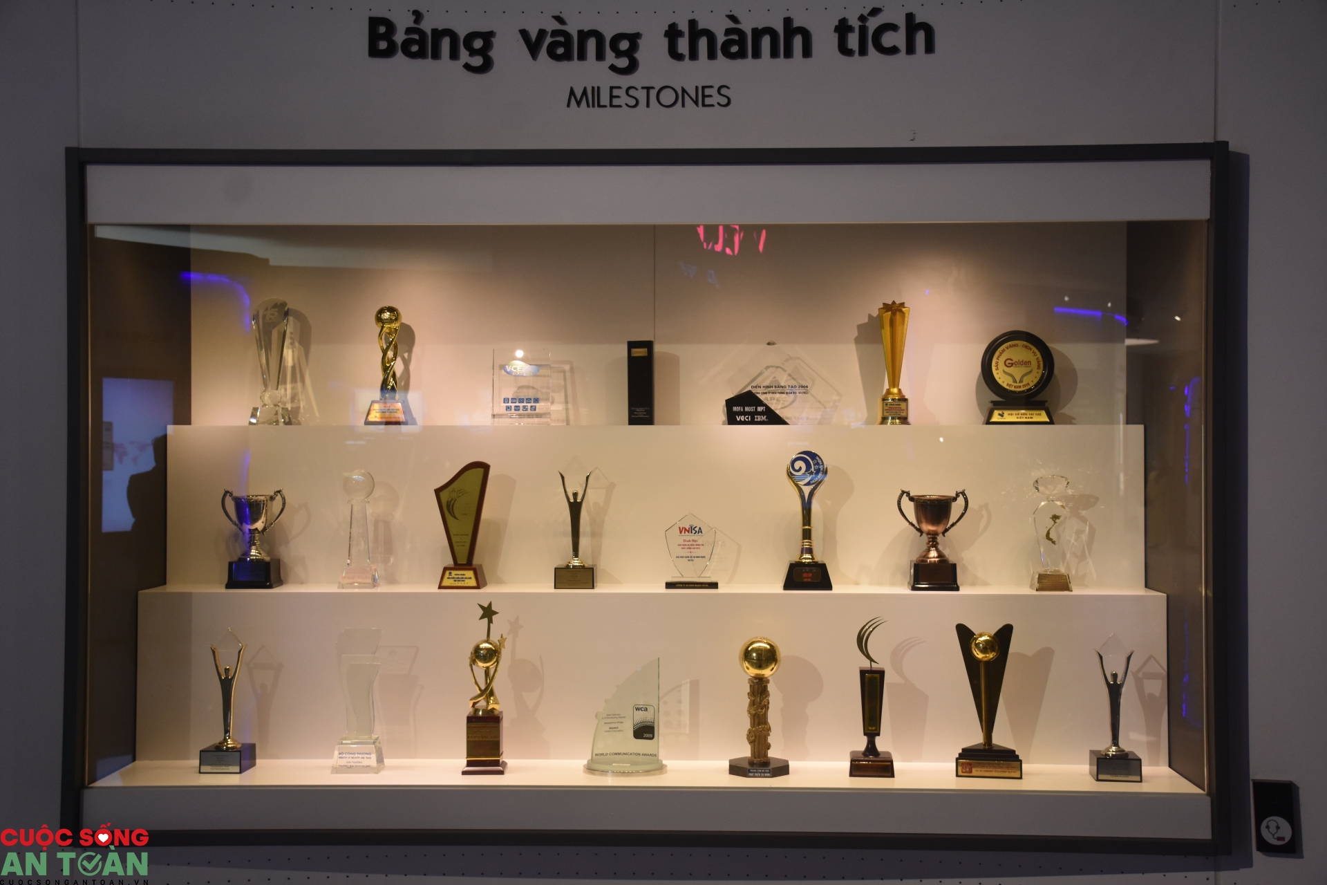 Tổng Công ty Mạng lưới Viettel phấn đấu có 165 sáng kiến được triển khai ứng dụng Tổng Công ty Mạng lưới Viettel phấn đấu có 165 sáng kiến được triển khai ứng dụng