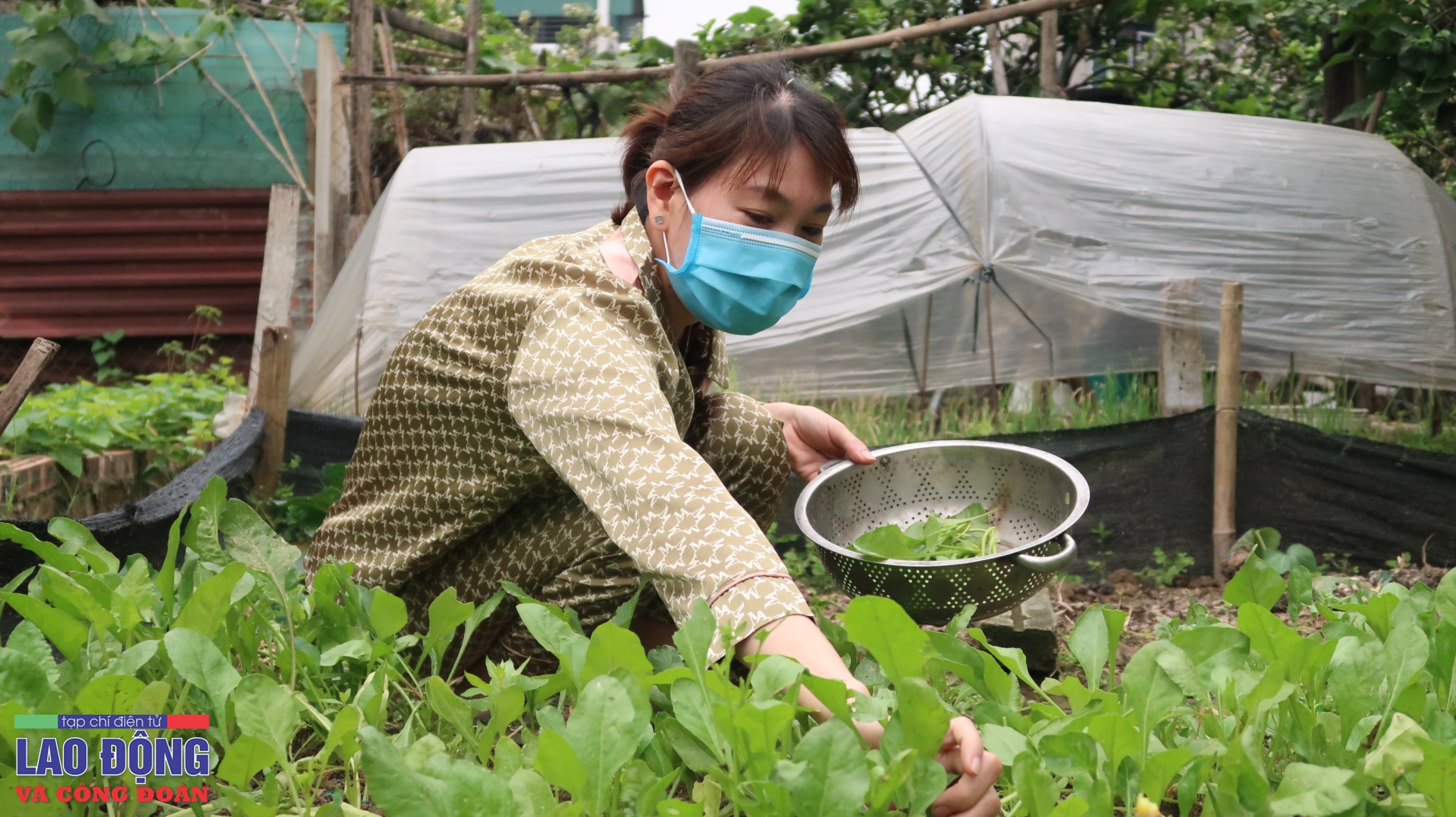 Công nhân lao đao trong cơn “bão giá” Công nhân lao đao trong cơn “bão giá”