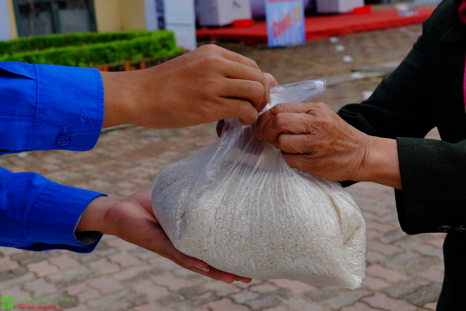 nhung tui gao goi ca su yeu thuong tai khu nha o cong nhan kim chung