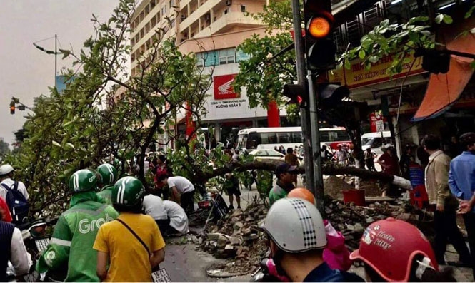 Gia đình nữ đồng nát liệt hai chân đã nhận tiền bồi thường Gia đình nữ đồng nát liệt hai chân đã nhận tiền bồi thường