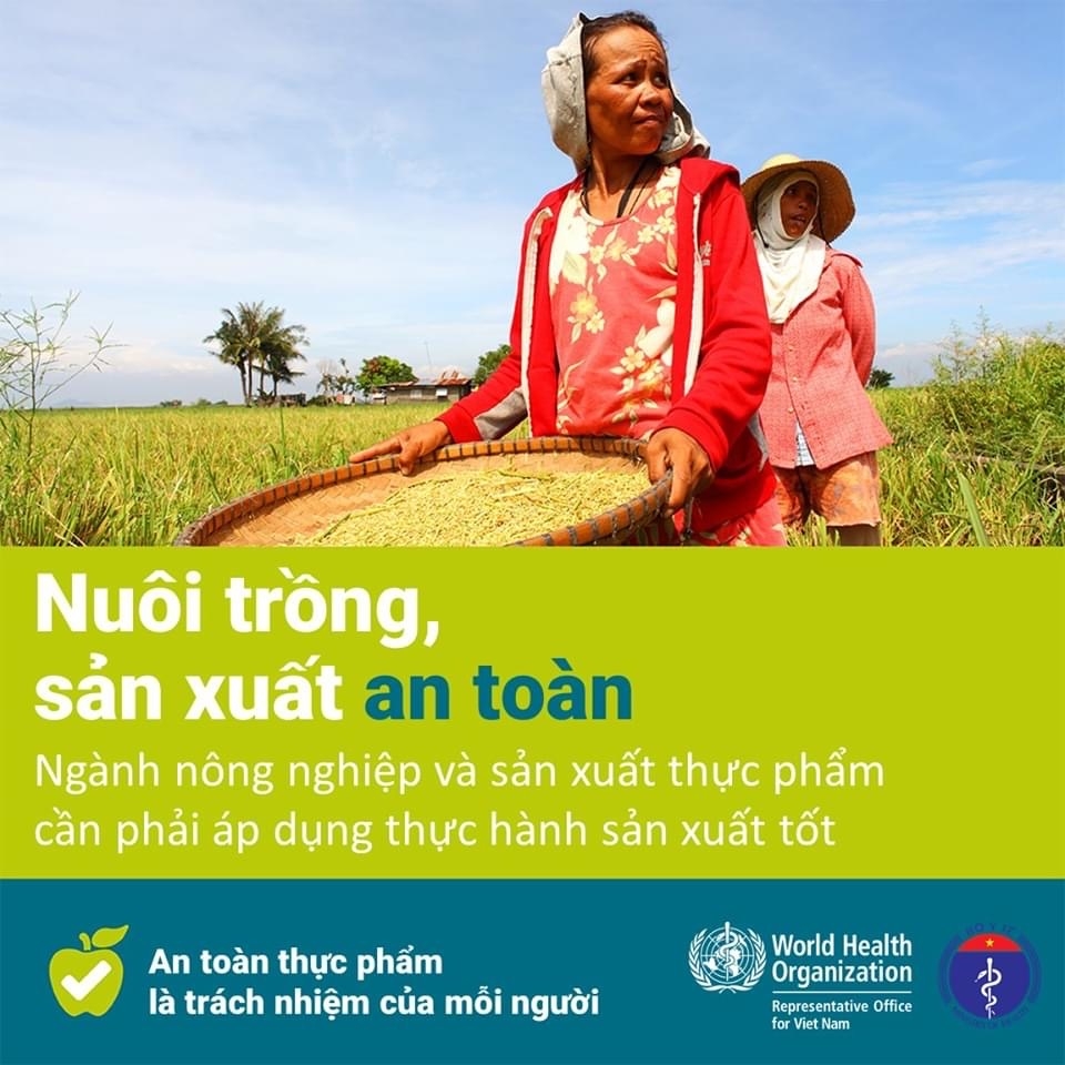 5 chia khoa quan trong de bao dam thuc pham an toan