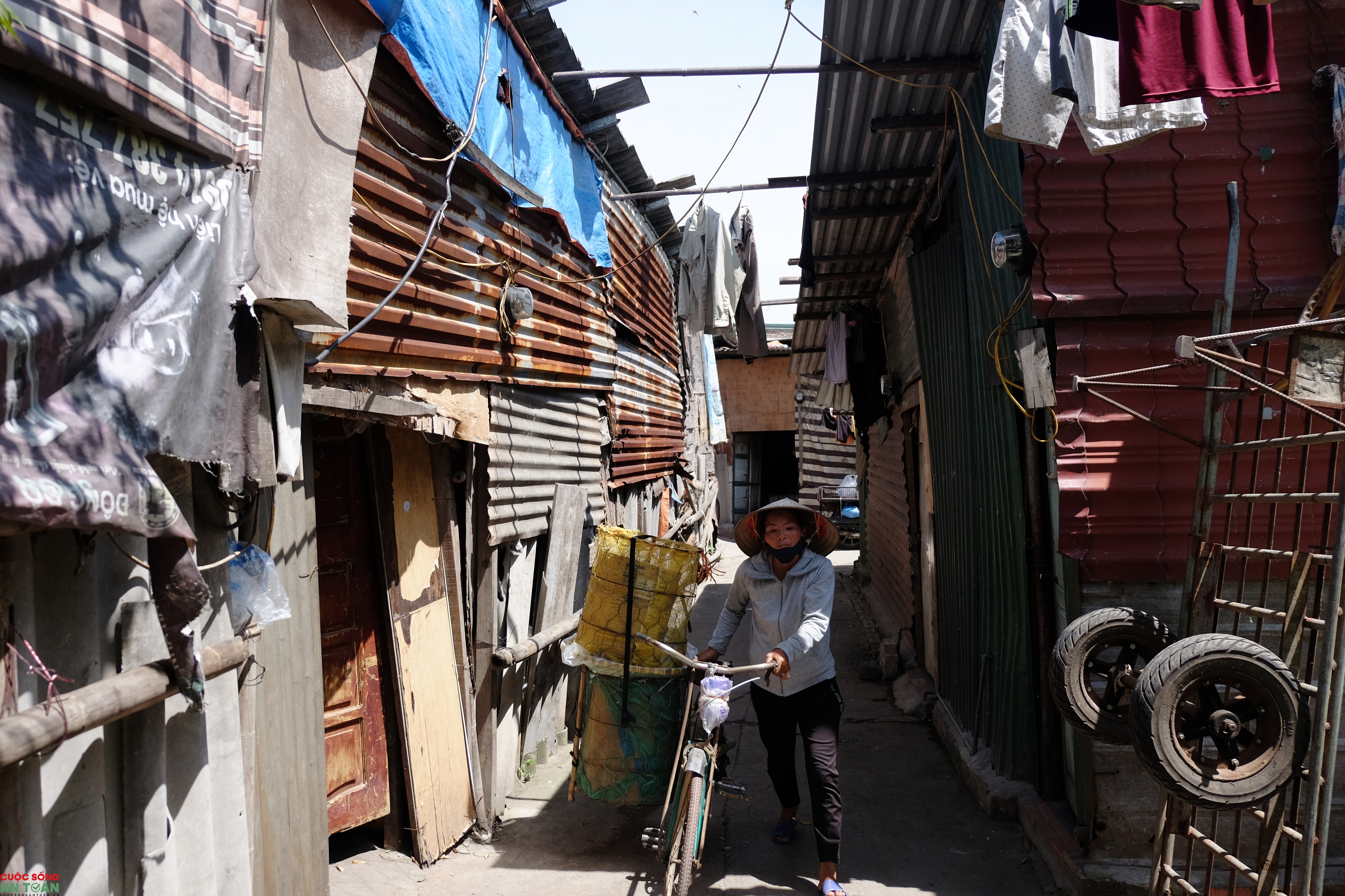 Xóm ngụ cư ven sông Hồng "oằn mình" trong nắng nóng xom ngu cu ven song hong oan minh trong nang nong