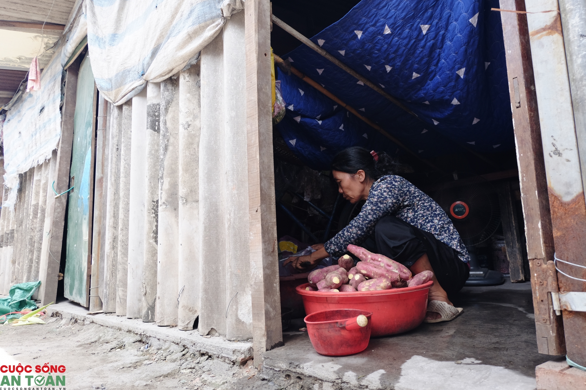 Xóm ngụ cư ven sông Hồng "oằn mình" trong nắng nóng xom ngu cu ven song hong oan minh trong nang nong