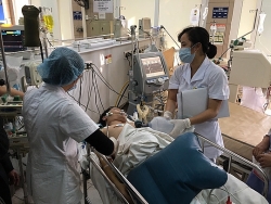 tu cac vu ngo doc ca ngu nguyen nhan va cach phong tranh