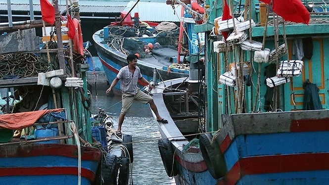 Bão số 3 tiến sát Móng Cái, Hải Phòng, gió giật cấp 12 dien bien con bao so 3 da di chuyen toi gan mong cai hai phong