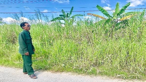 Dự án 300 căn nhà cho người nghèo ở Bạc Liêu bị bỏ hoang