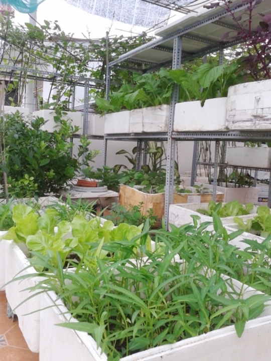 da nang thu doi tui nilon va quan ly trat tu via he de bao ve moi truong