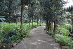 Yên Bái phục hồi môi trường một loạt mỏ sau khai thác khoáng sản