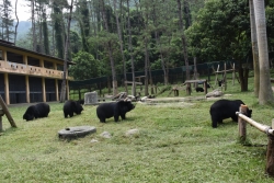 ha noi lam gi de 60 cong vien trong do 7 khu cong vien dac thu tro thanh hien thuc