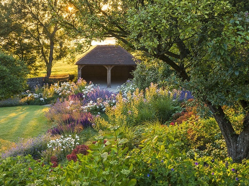 Làm thế nào để có một vườn sinh thái trong khuôn viên nhà bạn? lam the nao de co mot vuon sinh thai trong khuon vien nha ban