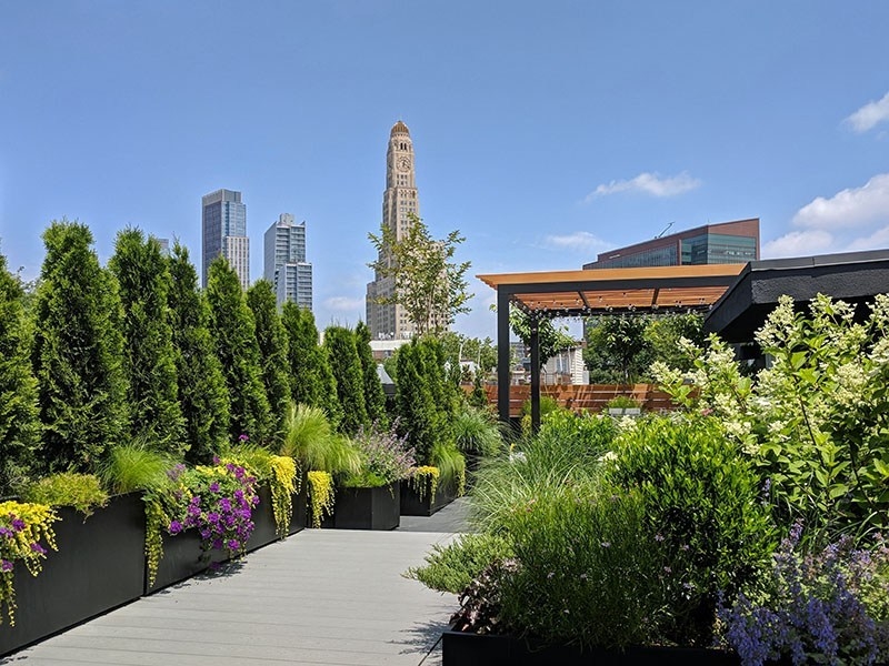 Làm thế nào để có một vườn sinh thái trong khuôn viên nhà bạn? lam the nao de co mot vuon sinh thai trong khuon vien nha ban