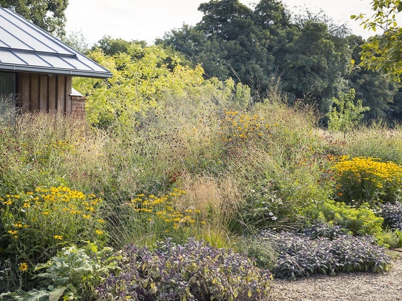 Làm thế nào để có một vườn sinh thái trong khuôn viên nhà bạn? lam the nao de co mot vuon sinh thai trong khuon vien nha ban