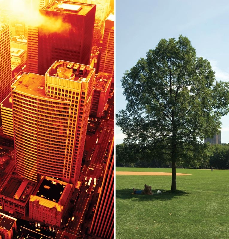 oc dao nhiet do thi he qua cua do thi hoa khong ben vung