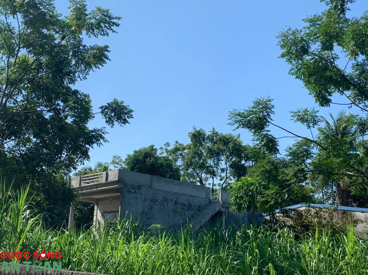 Hoàn cảnh éo le của nữ công nhân mất việc vì Covid-19 Hoàn cảnh éo le của nữ công nhân mất việc vì Covid 19