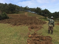canh tan hoang tai khu tap the vien tu lieu phim tren manh dat vang ha noi