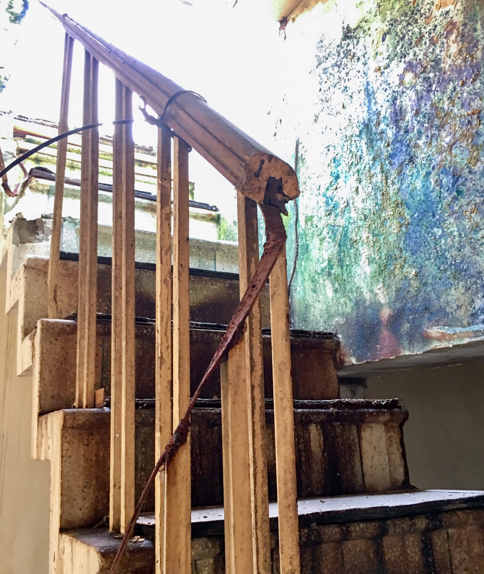 Cảnh tan hoang tại khu tập thể Viện Tư liệu phim trên mảnh "đất vàng" Hà Nội canh tan hoang tai khu tap the vien tu lieu phim tren manh dat vang ha noi