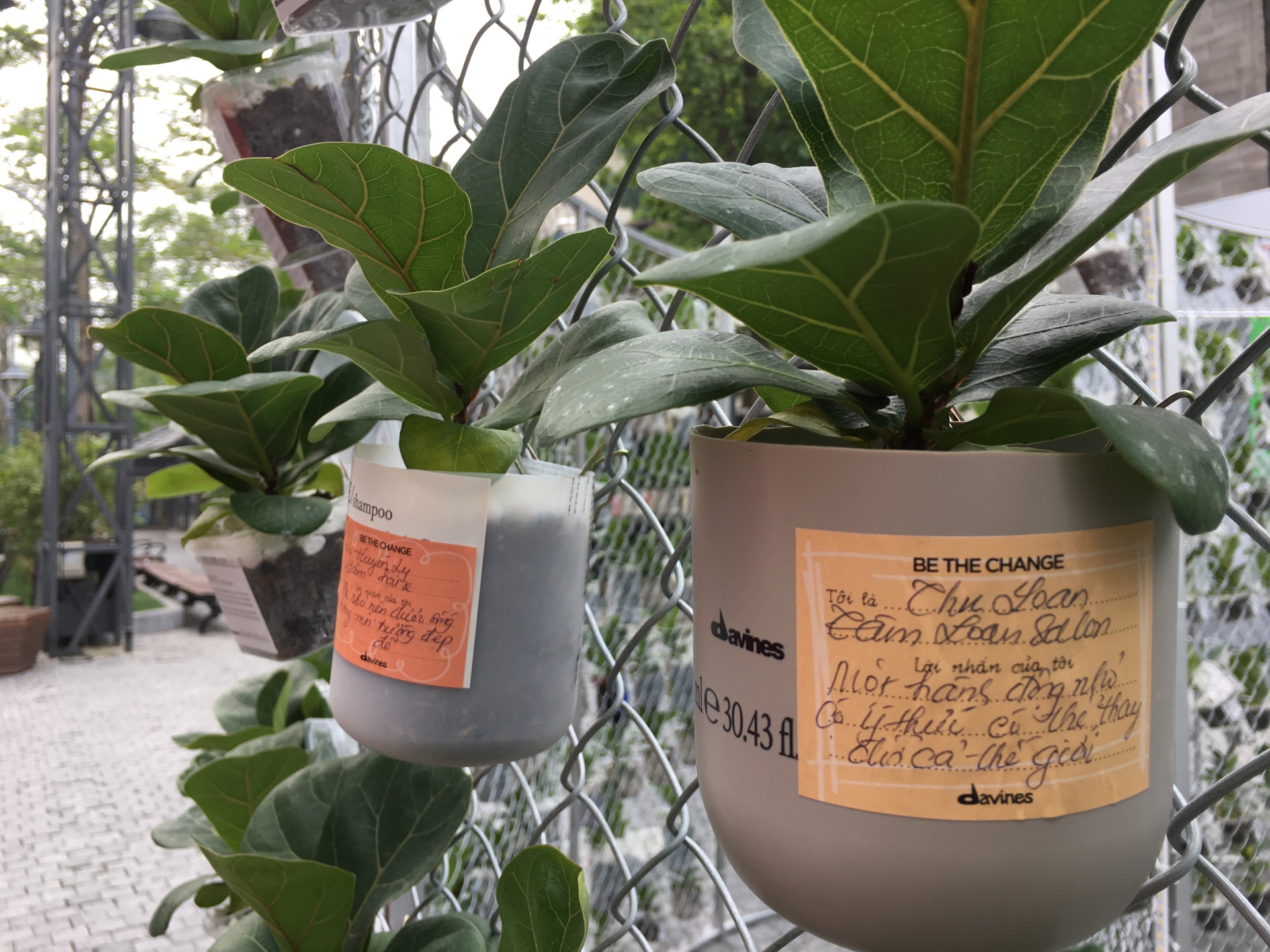 Triển lãm Davines Art Series 7: Rác thải nhựa làm chất liệu cho tác phẩm nghệ thuật trien lam davines art series 7 rac thai nhua lam chat lieu cho tac pham nghe thuat