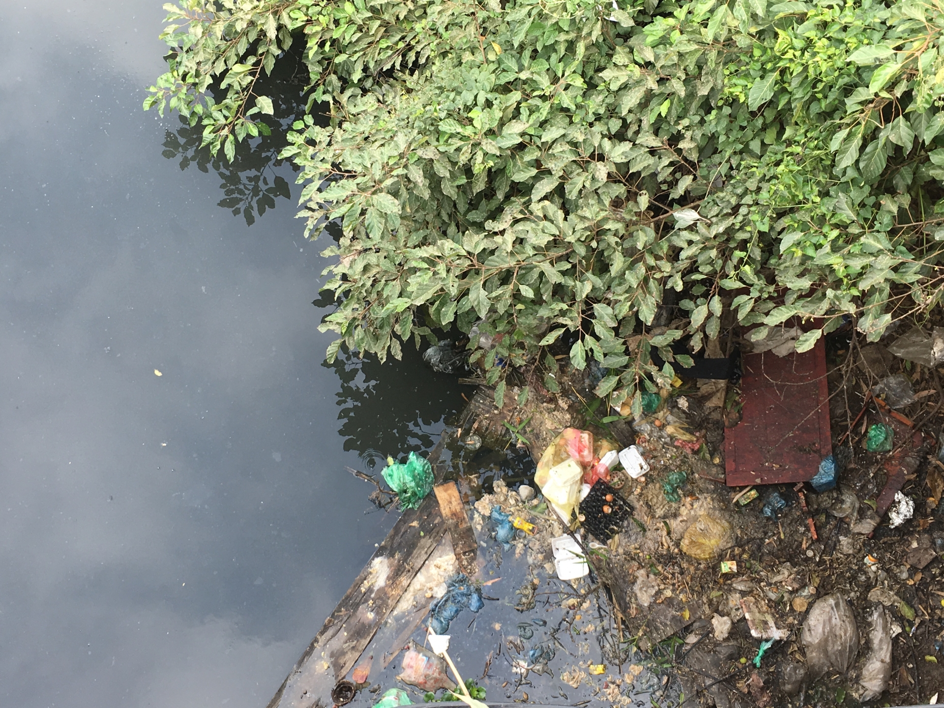 Sông Nhuệ ô nhiễm trầm trọng, "chết" dần trong ký ức người dân song nhue o nhiem tram trong chet dan trong ky uc nguoi dan