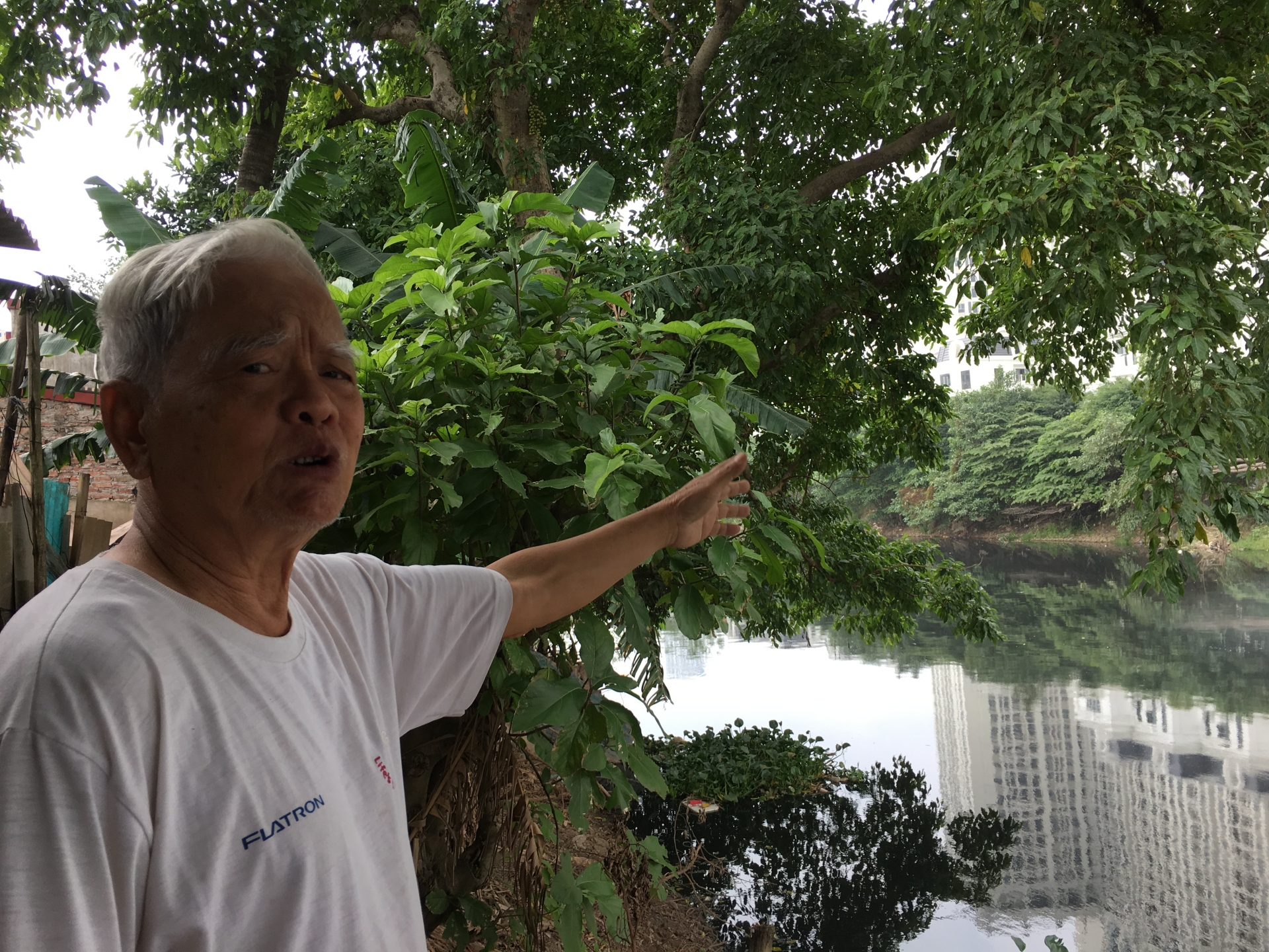 Sông Nhuệ ô nhiễm trầm trọng, "chết" dần trong ký ức người dân song nhue o nhiem tram trong chet dan trong ky uc nguoi dan