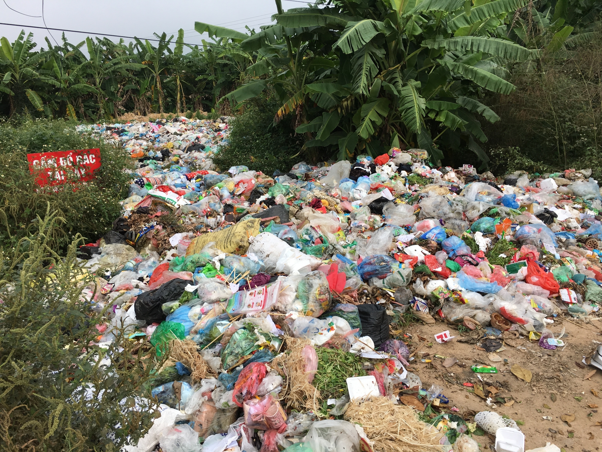 Ngày hiến chương Nhà giáo và mong ước về ngôi trường không ô nhiễm ngay hien chuong nha giao va mong uoc ve ngoi truong khong o nhiem