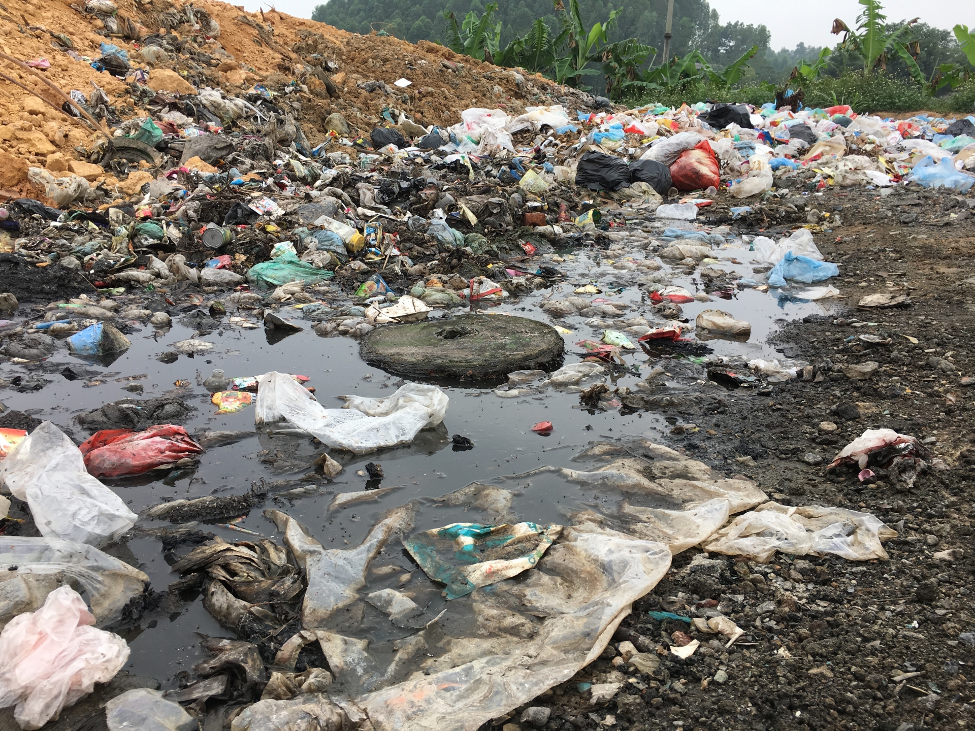 Ngày hiến chương Nhà giáo và mong ước về ngôi trường không ô nhiễm ngay hien chuong nha giao va mong uoc ve ngoi truong khong o nhiem