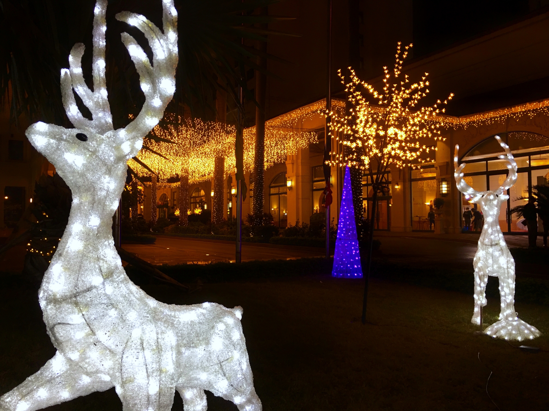 Không khí Noel ở Hà Nội: Rực rỡ sắc màu, ấm áp tình yêu thương khong khi noel o ha noi ruc ro sac mau am ap tinh yeu thuong