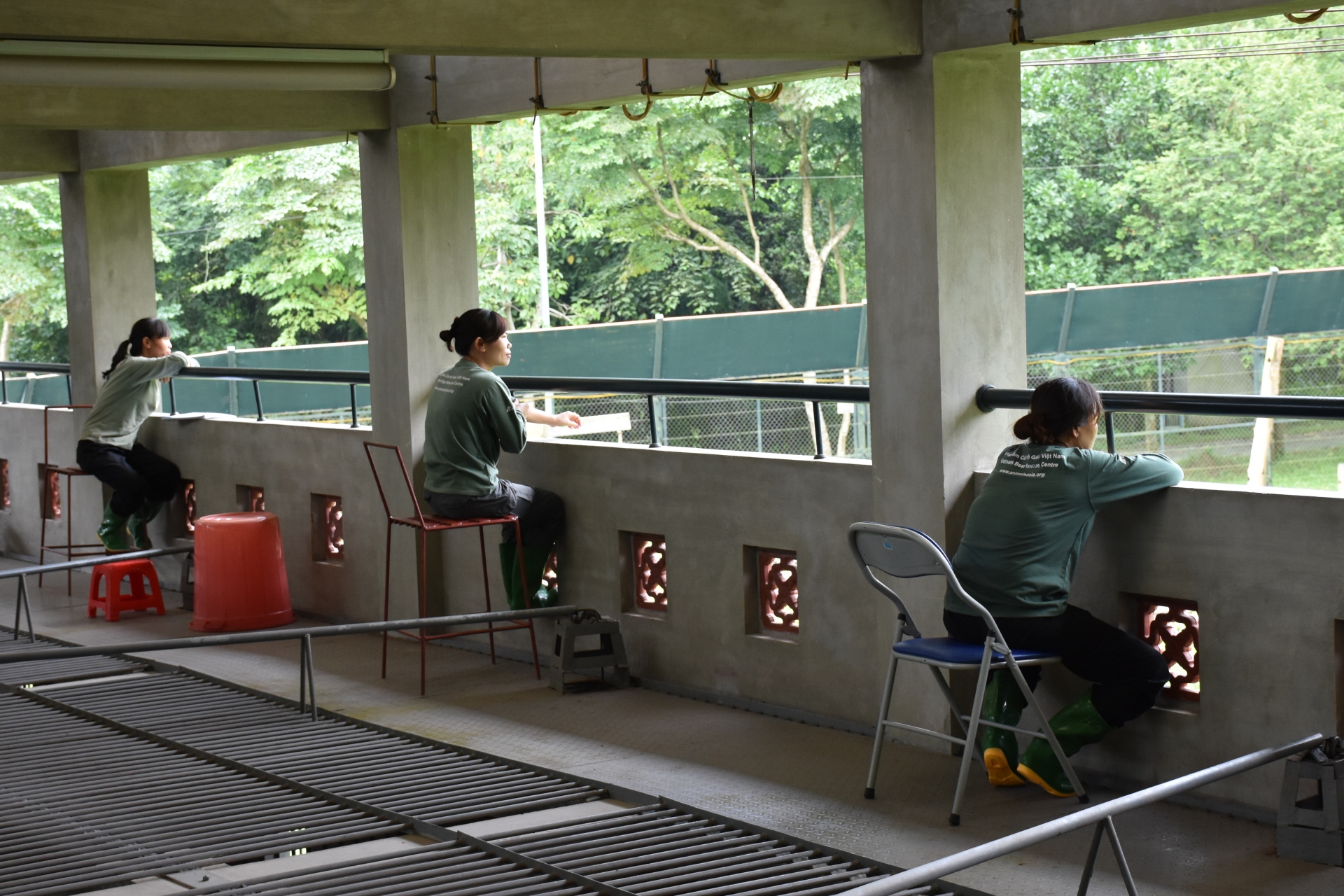 mot ngay nhu moi ngay cua cac nhan vien trung tam cuu ho gau viet nam