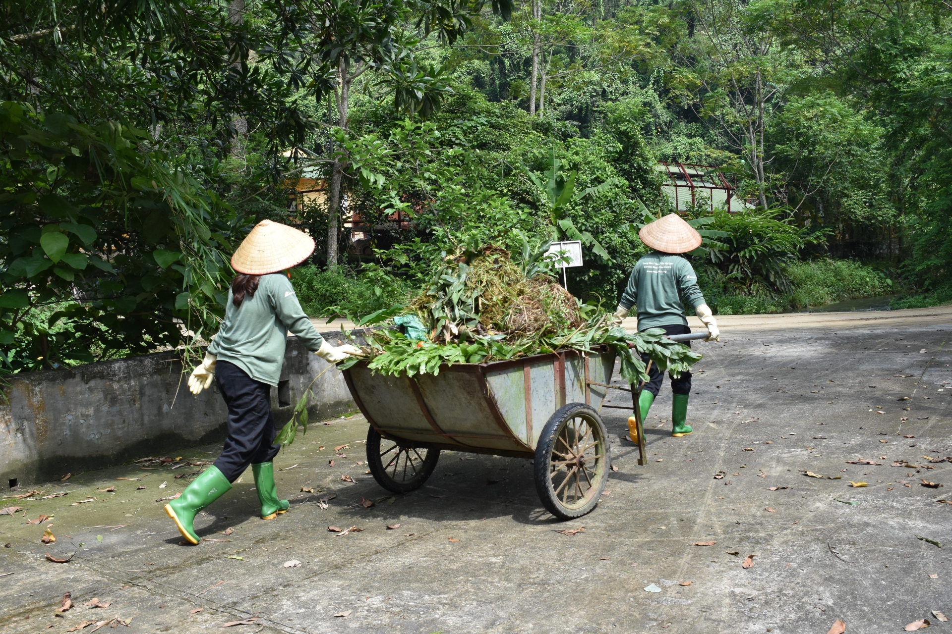 mot ngay nhu moi ngay cua cac nhan vien trung tam cuu ho gau viet nam