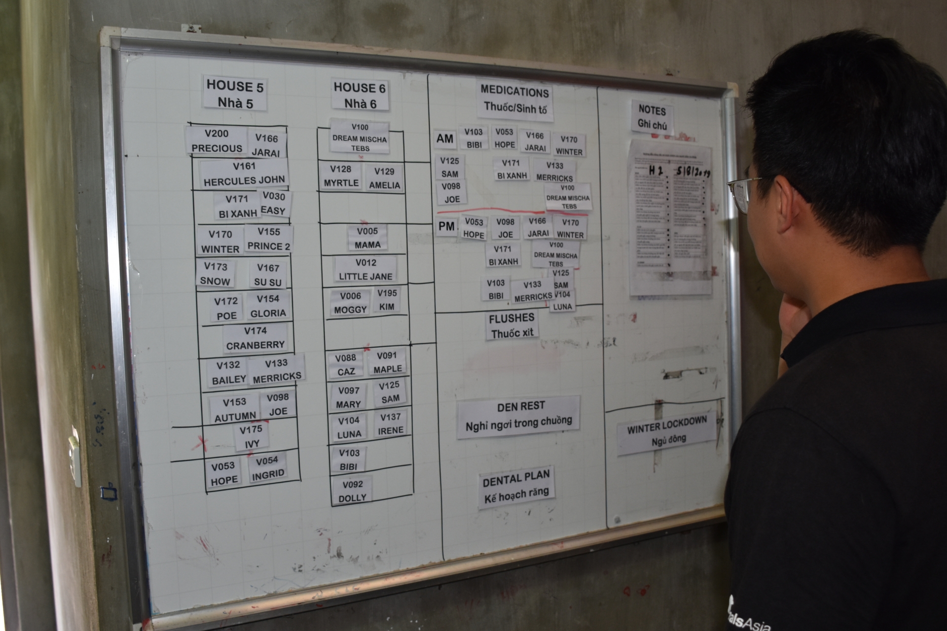 mot ngay nhu moi ngay cua cac nhan vien trung tam cuu ho gau viet nam