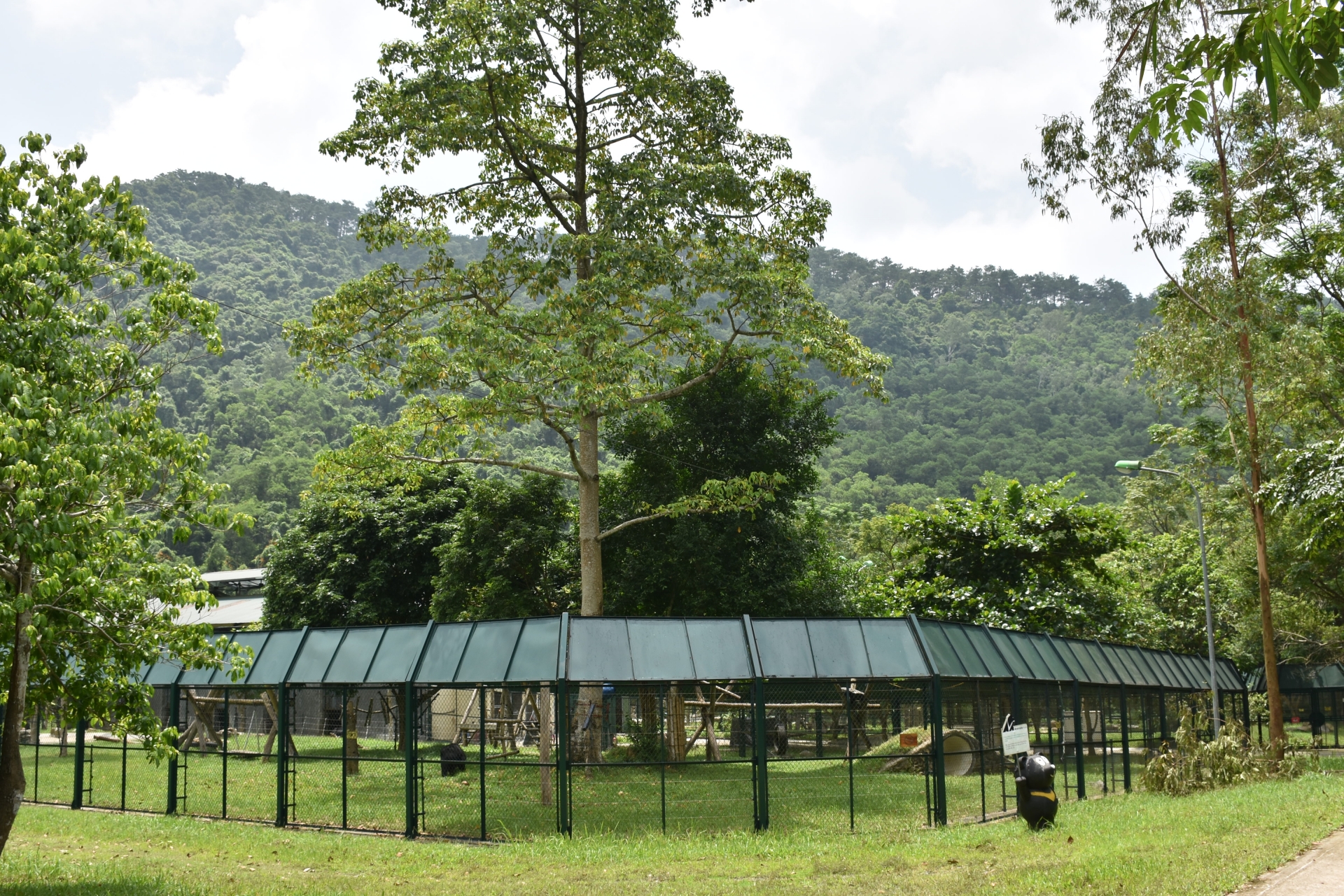 mot ngay nhu moi ngay cua cac nhan vien trung tam cuu ho gau viet nam