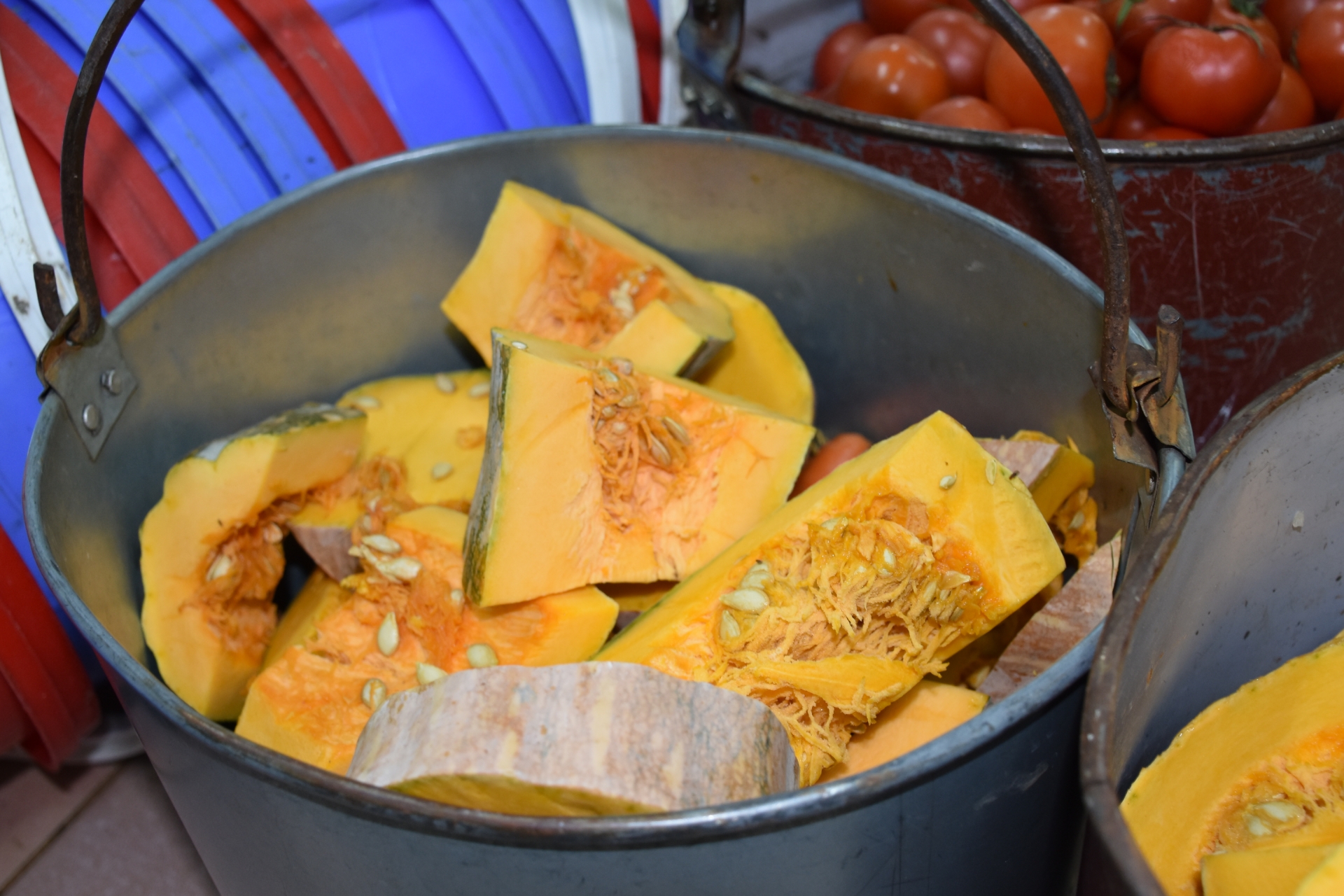 mot ngay nhu moi ngay cua cac nhan vien trung tam cuu ho gau viet nam