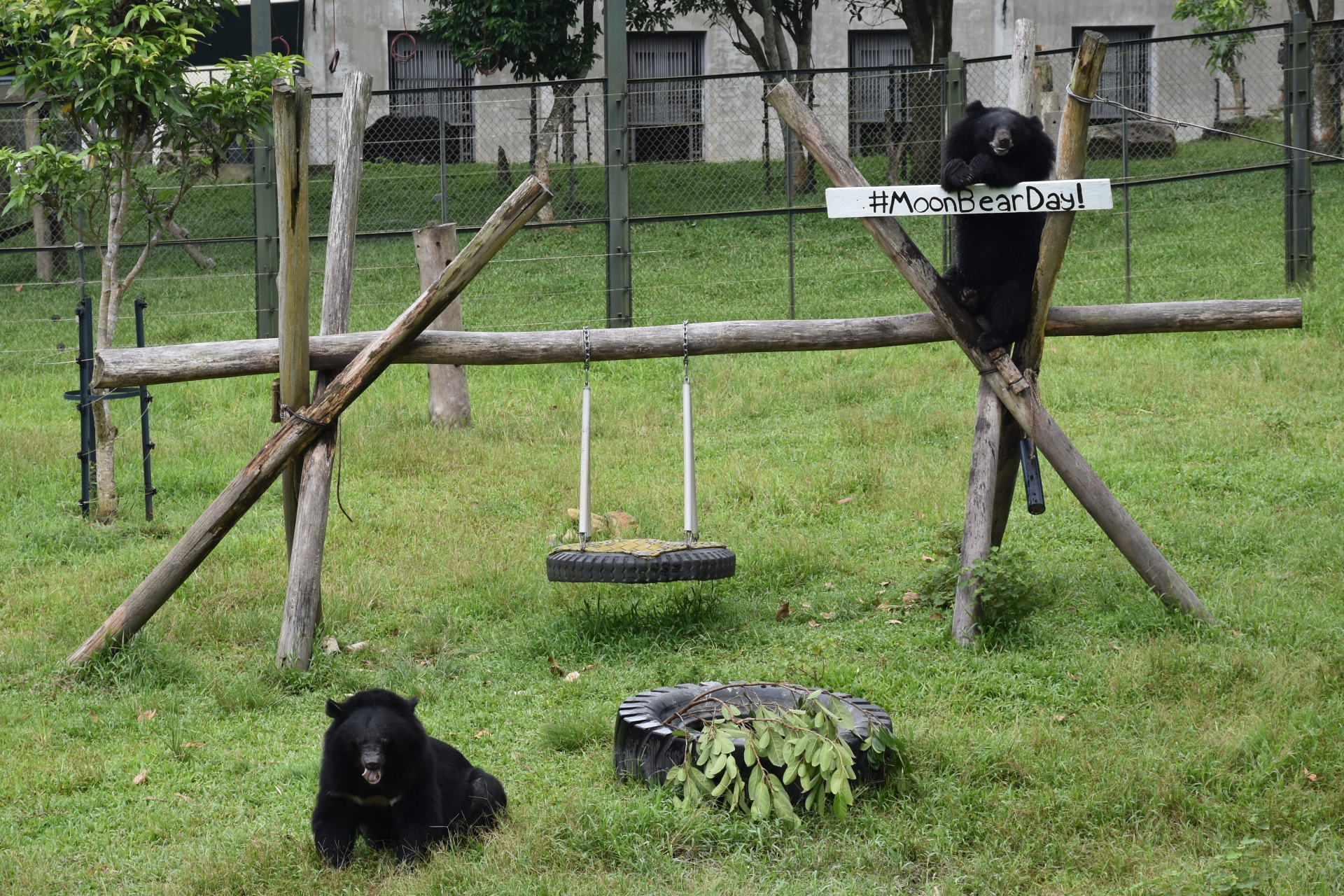 mot ngay nhu moi ngay cua cac nhan vien trung tam cuu ho gau viet nam