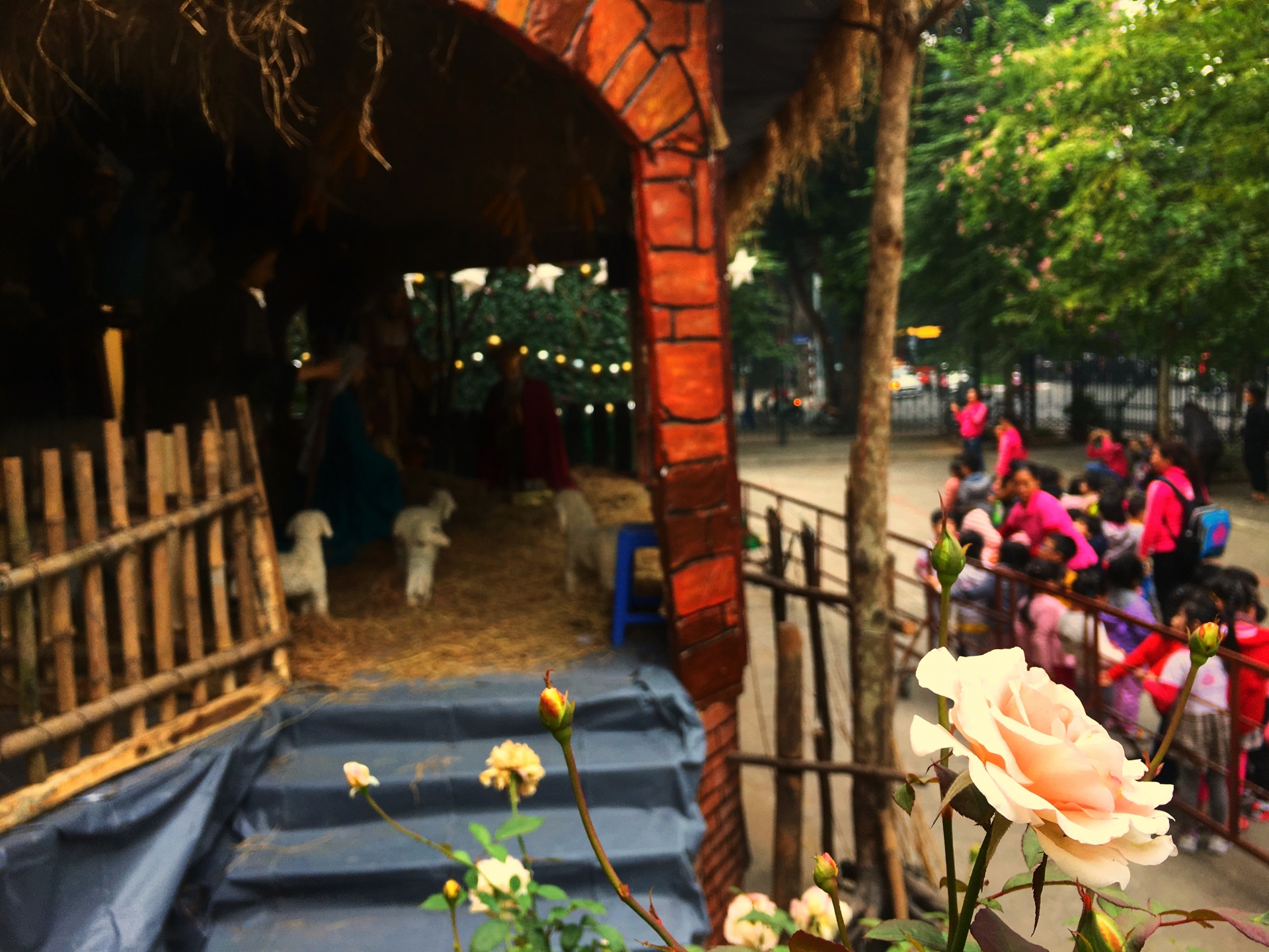 Không khí Noel ở Hà Nội: Rực rỡ sắc màu, ấm áp tình yêu thương khong khi noel o ha noi ruc ro sac mau am ap tinh yeu thuong