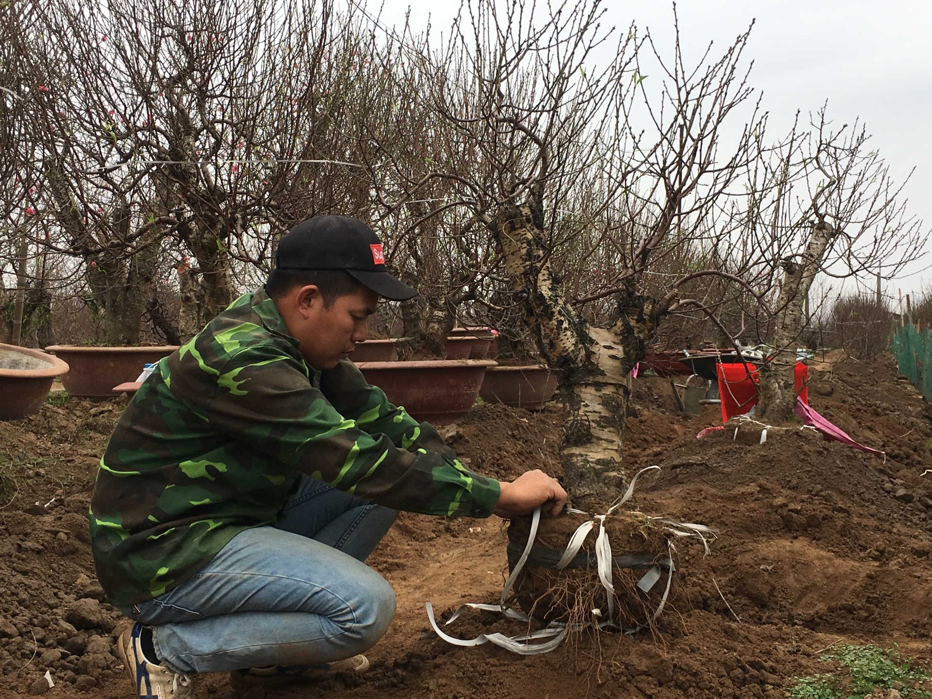 nguoi dan lang dao nhat tan tat bat chuan bi cho tet nguyen dan
