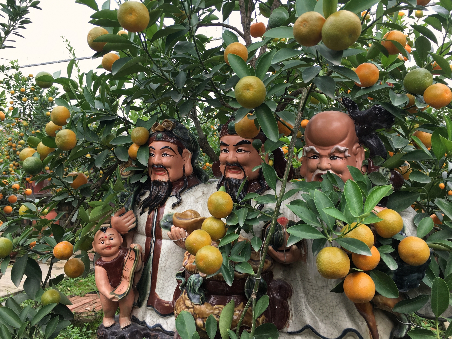 lang quat canh tu lien ha noi da san sang bung lua dip tet