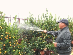 xom tro cong nhan bi dao chich dot nhap lay trom 2 xe may