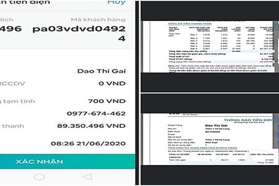 da den luc can phai cong bo ket luan thanh tra gia dien