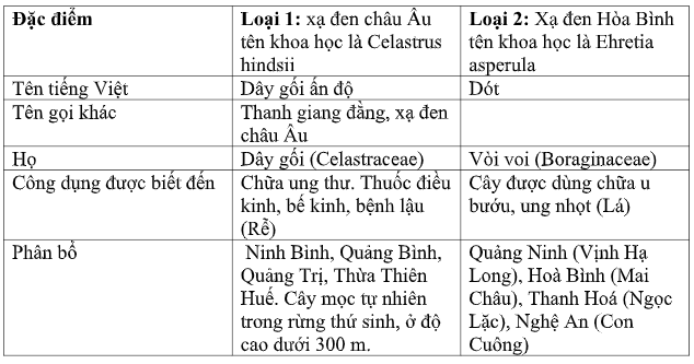 hieu dung ve cay xa den dieu tri benh nhan ung thu