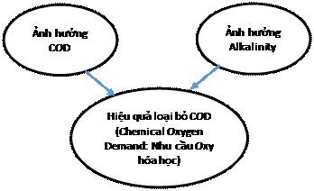 Ứng dụng Baysian Belief Networks phân tích các yếu tố ảnh hưởng đến hành vi an toàn