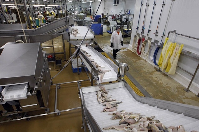 Đánh giá rủi ro an toàn và sức khỏe nghề nghiệp tại cơ sở chế biến thủy sản