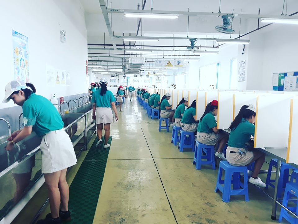 Đề xuất xây dựng mô hình “Không tai nạn lao động, không dịch bệnh” trong sản xuất