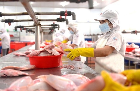 An toàn để sản xuất, sản xuất phải an toàn An toàn để sản xuất, sản xuất phải an toàn trong đại dịch